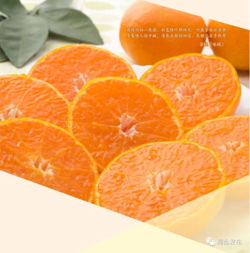 无标题