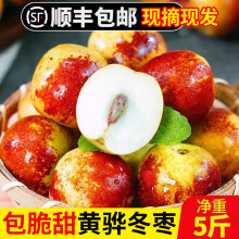 黄骅冬枣