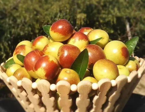 说好一起慢慢变老,你却偷吃了渭北的冬枣