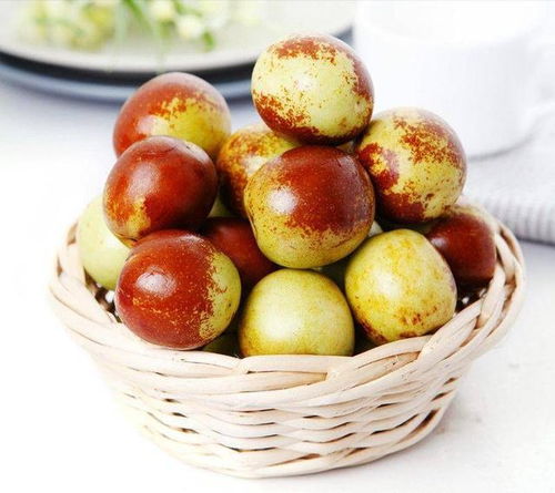 农民种的冬枣大又甜,为何只能贱卖不值钱