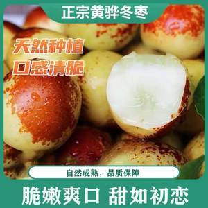 河北黄骅脆冬枣 自然的馈赠与美食的极致