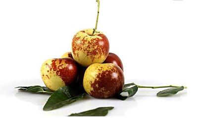 沾化冬枣与黄骅冬枣 齐鲁与燕赵的冬枣双璧